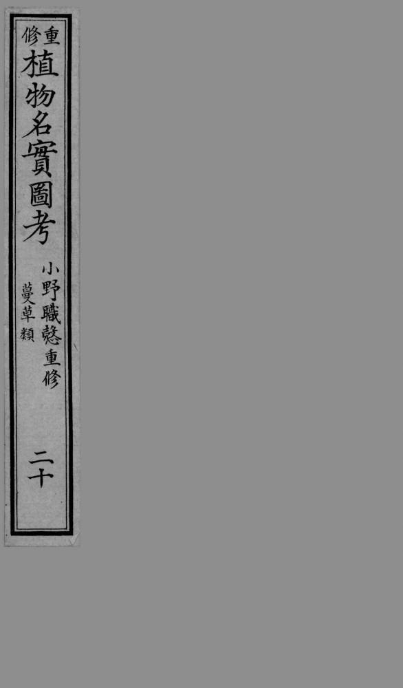 植物名实图考  20